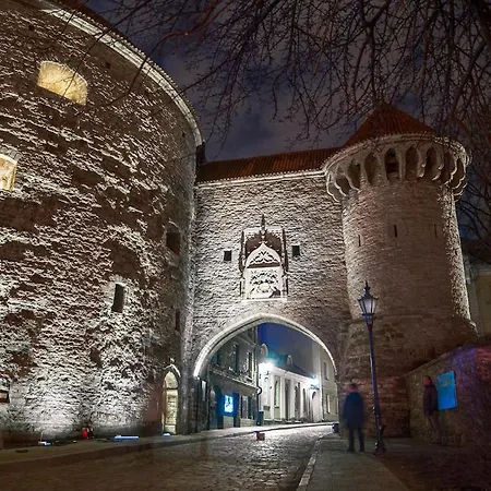 2-bed, 1,5-bath Old Town Flat With Sauna And Bar * Tallin