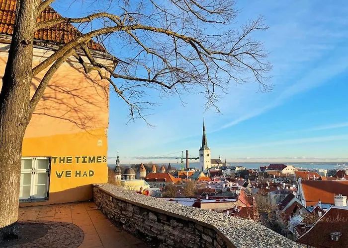 2-bed, 1,5-bath Old Town Flat With Sauna And Bar Daire