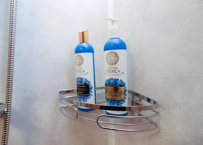 Daire 2-bed, 1,5-bath Old Town Flat With Sauna And Bar Tallinn