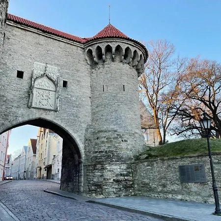 2-bed, 1,5-bath Old Town Flat With Sauna And Bar Appartement